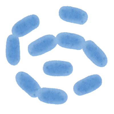 ビフィズス菌の日🥄