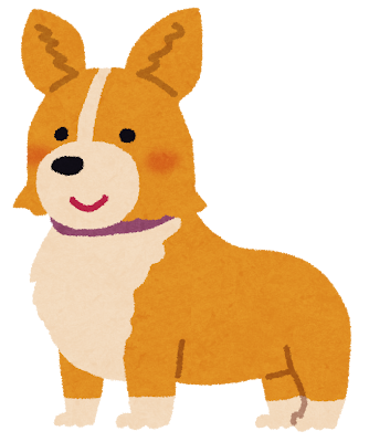コーギーありがとうの日🐶