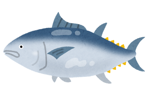 マグロの日🐟