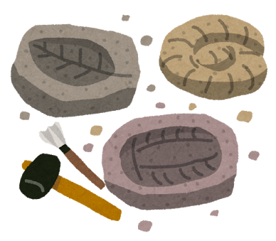 化石の日⚒️