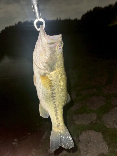 趣味🎣